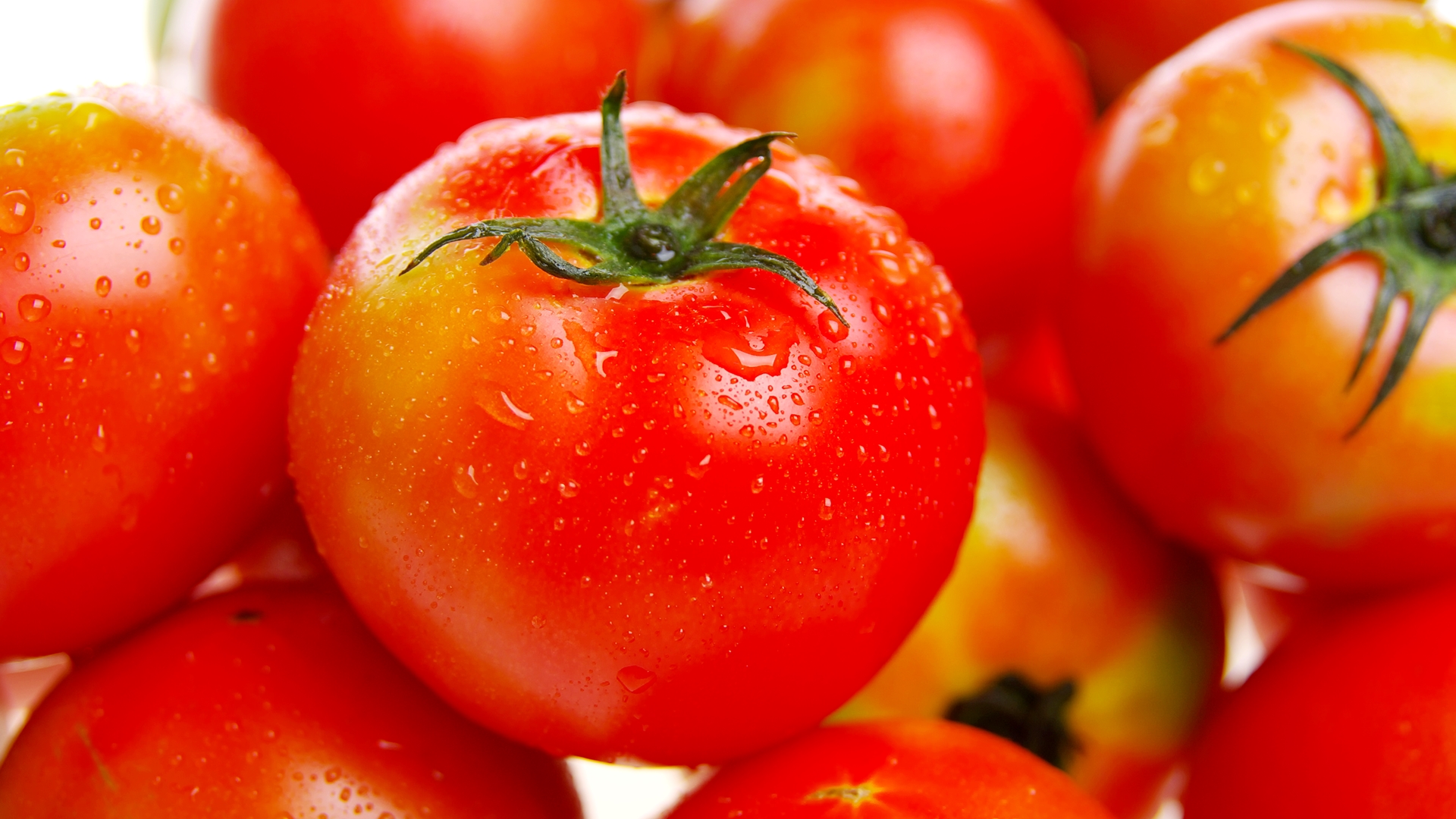 top_banner